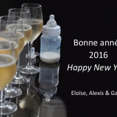 2016_Nouvel-an_AlexisLoriot