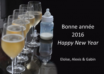 2016_Nouvel-an_AlexisLoriot