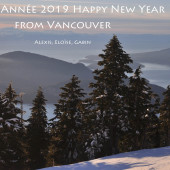 2018_newyear1