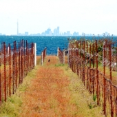 AlexisLoriot_Canada_15