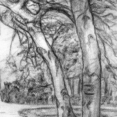 AlexisLoriot_dessins_8