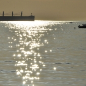 Vancouver-nature_alexisloriot_25