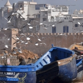 essaouira_photo-AlexisLoriot_15