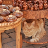 essaouira_photo-AlexisLoriot_19