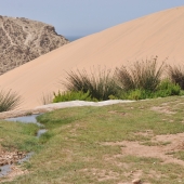 essaouira_photo-AlexisLoriot_30