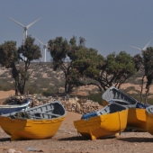 essaouira_photo-AlexisLoriot_47