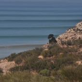 essaouira_photo-AlexisLoriot_49