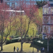 Vancouver-nature_alexisloriot_17