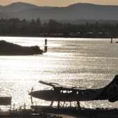 Vancouver-nature_alexisloriot_21