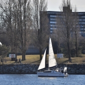 Vancouver-nature_alexisloriot_6