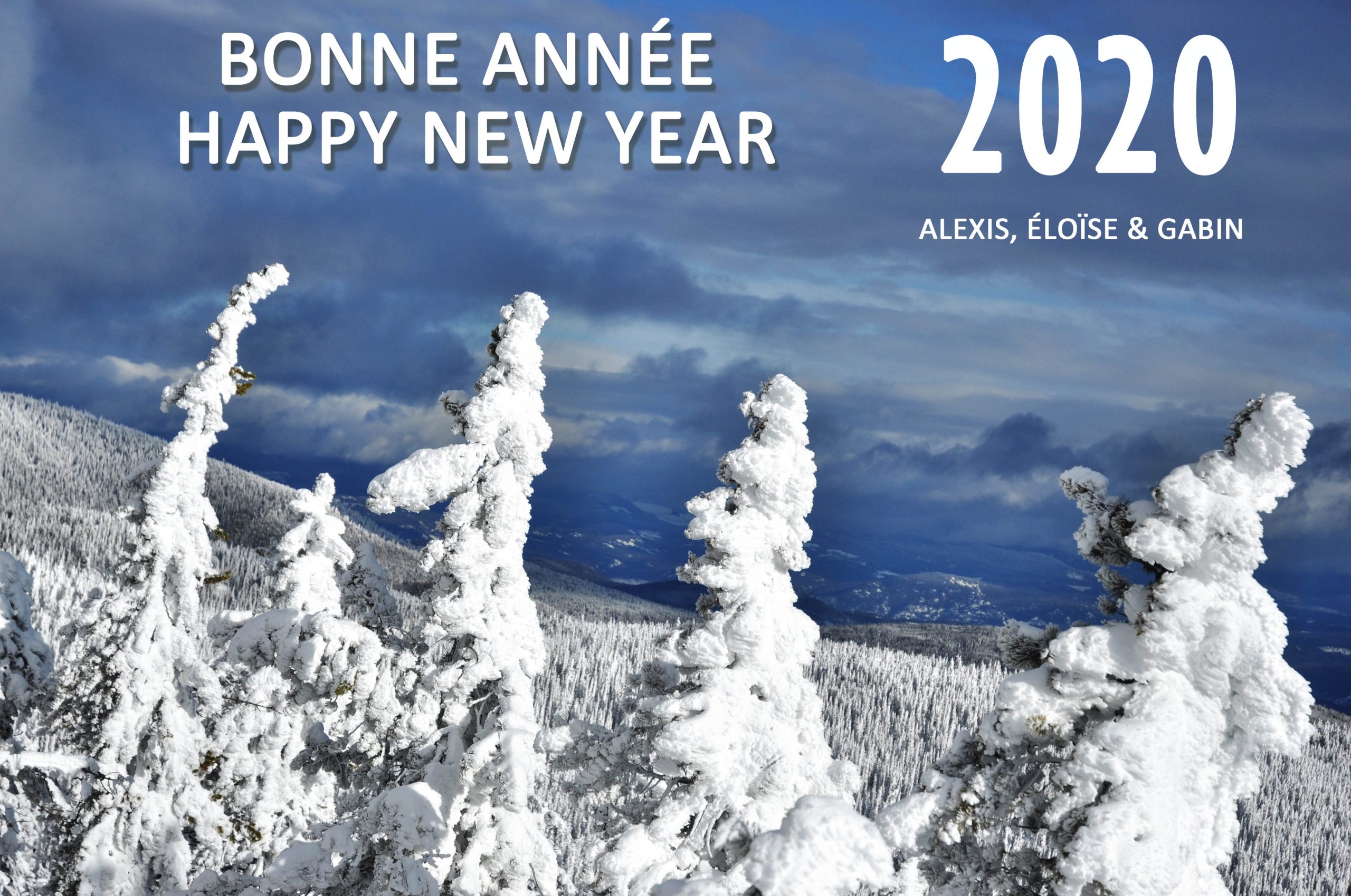 2020-bonne annee